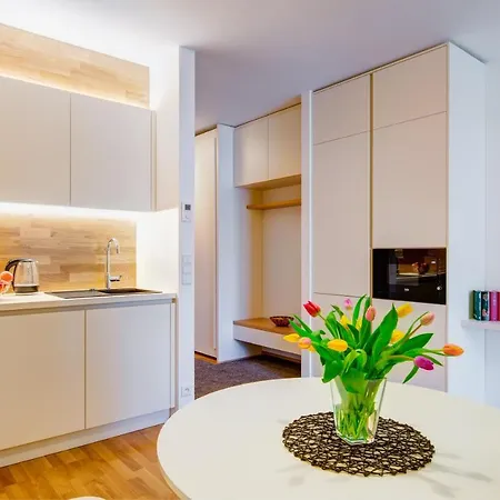 Appartement Medvedin 306 Špindlerŭv Mlýn